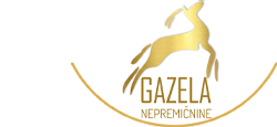 GAZELA NEPREMIČNINE